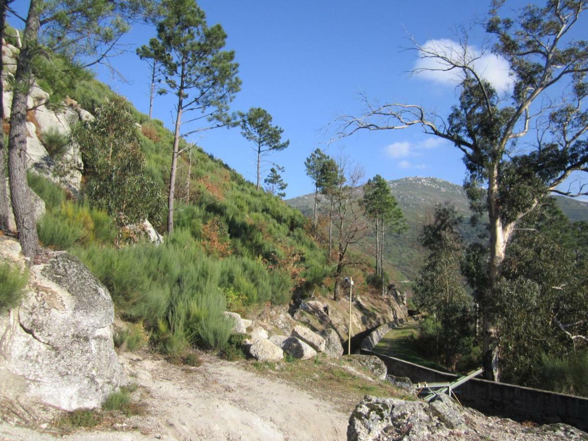 Casa Miguel Villa Sabugueiro  Eksteriør bilde
